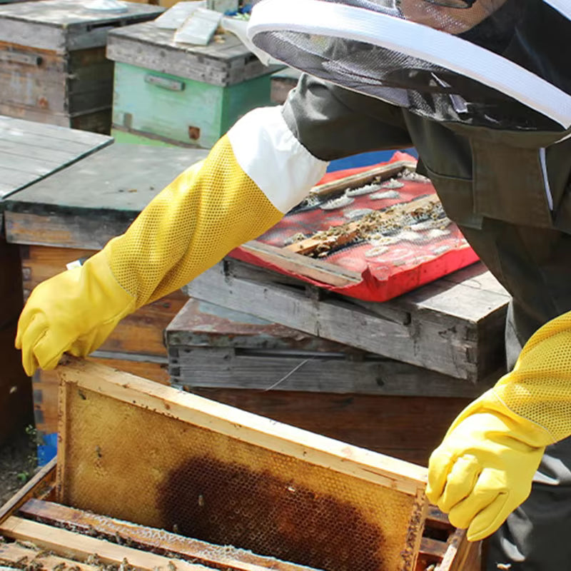Anti-Bee Apiculture Gloves with Ventilated Sleeves